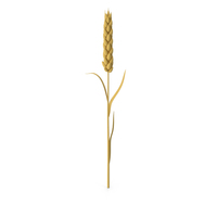 Stylized Wheat PNG & PSD Images
