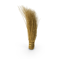 Broom Gold PNG & PSD Images