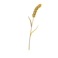 Stylised Wheat PNG & PSD Images