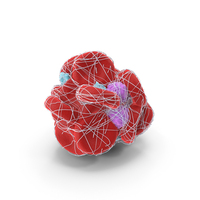 Blood Clot With Fibrin PNG & PSD Images