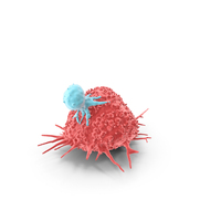 Cancer With T Cell PNG & PSD Images