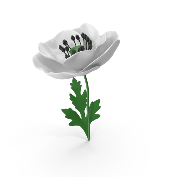 White Stylized Poppy PNG & PSD Images