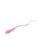 Pink Sperm Cell PNG & PSD Images