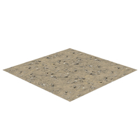 Bones In Ground Flat Terrain PNG & PSD Images