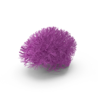 Pink Brain Tracts PNG & PSD Images