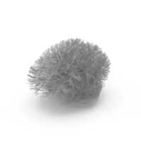 Brain Tracts Silver PNG & PSD Images