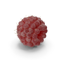 Raspberry PNG & PSD Images