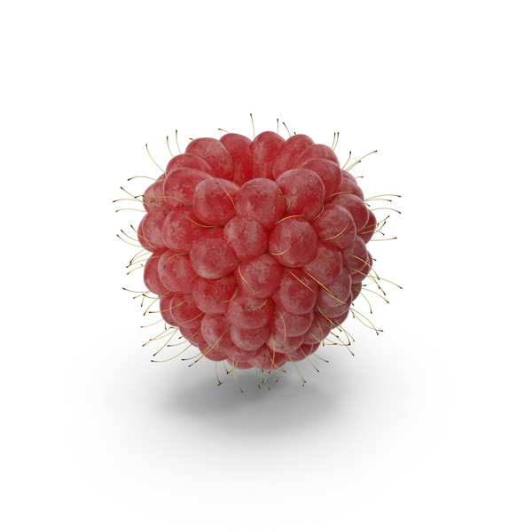 Raspberry PNG & PSD Images