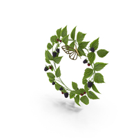Raspberry Wreath PNG & PSD Images