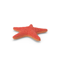 Starfish Red Fur PNG & PSD Images