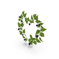 Black Raspberry Heart Wreath PNG & PSD Images
