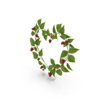 Red Raspberry Heart Wreath PNG & PSD Images