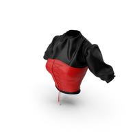 Blouse with Corset PNG & PSD Images