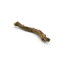 Broken Branch PNG & PSD Images