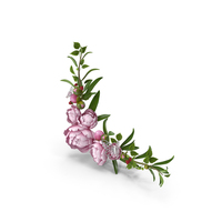Pink Floral Frame PNG & PSD Images