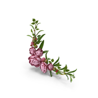 Red Floral Frame PNG & PSD Images