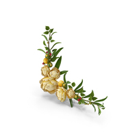 Yellow Floral Frame PNG & PSD Images
