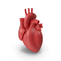 Heart PNG & PSD Images