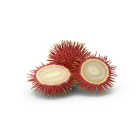 Tropical Fruit Rambutan PNG & PSD Images