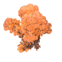 Ground Explosion PNG & PSD Images