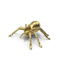Spider Gold PNG & PSD Images