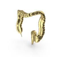 Large Intestine Gold PNG & PSD Images