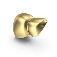 Liver Gold PNG & PSD Images