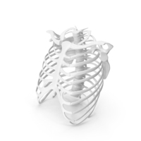 Rib Cage White PNG & PSD Images