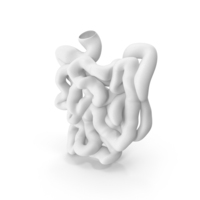 White Small Intestine PNG & PSD Images