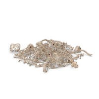 Old Skeleton Remains PNG & PSD Images