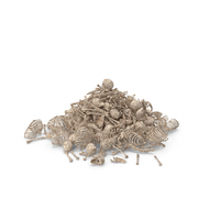 Pile Of Old Bones PNG & PSD Images