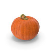 Pumpkin PNG & PSD Images