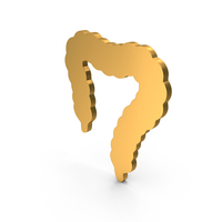 Gold Human Large Intestine Icon PNG & PSD Images