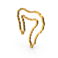 Gold Human Large Intestine Outline Icon PNG & PSD Images