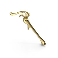 Hand Skeleton Shoulder Girdle Gold PNG & PSD Images