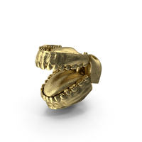 Inner Mouth Gold PNG & PSD Images