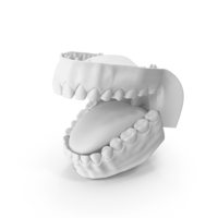Inner Mouth White PNG & PSD Images