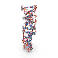 Z Form Deoxyribonucleic Acid Structure PNG & PSD Images