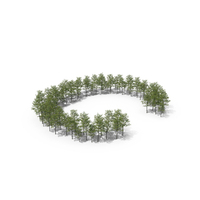 Tree Magnolia Liliiflora Letter Placement C PNG & PSD Images