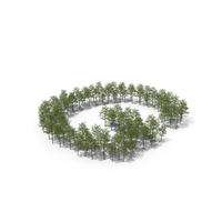 Tree Magnolia Liliflora Letter Placement G PNG & PSD Images