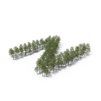 Tree Magnolia Liliflora Letter Placement N PNG & PSD Images