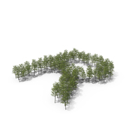 Magnolia Liliiflora Trees Letter R PNG & PSD Images