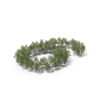 Magnolia Liliiflora Trees Number 6 PNG & PSD Images