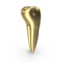 Gold Premolar Teeth PNG & PSD Images