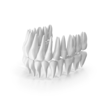White Teeth PNG & PSD Images