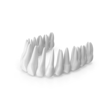 White Upper Teeth PNG & PSD Images