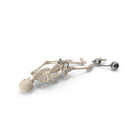 Dead Human Male Skeleton Shackled PNG & PSD Images