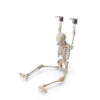 Human Male Skeleton Shackled PNG & PSD Images