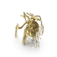 Gold Heart Circulatory System PNG & PSD Images