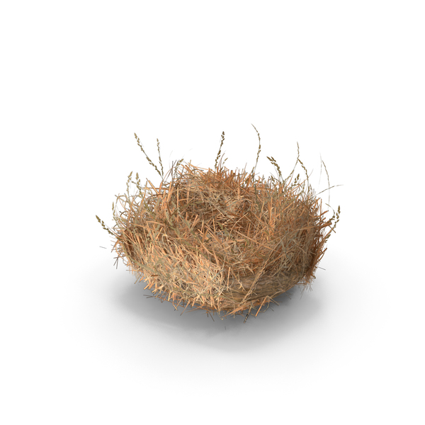 Straw Nest With Quail Eggs PNG & PSD Images